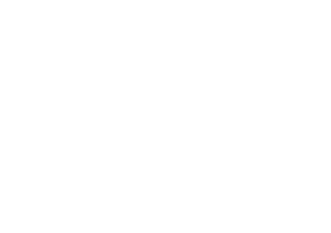 logo_labex-blanco